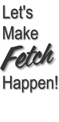 Let's Make Fetch Happen